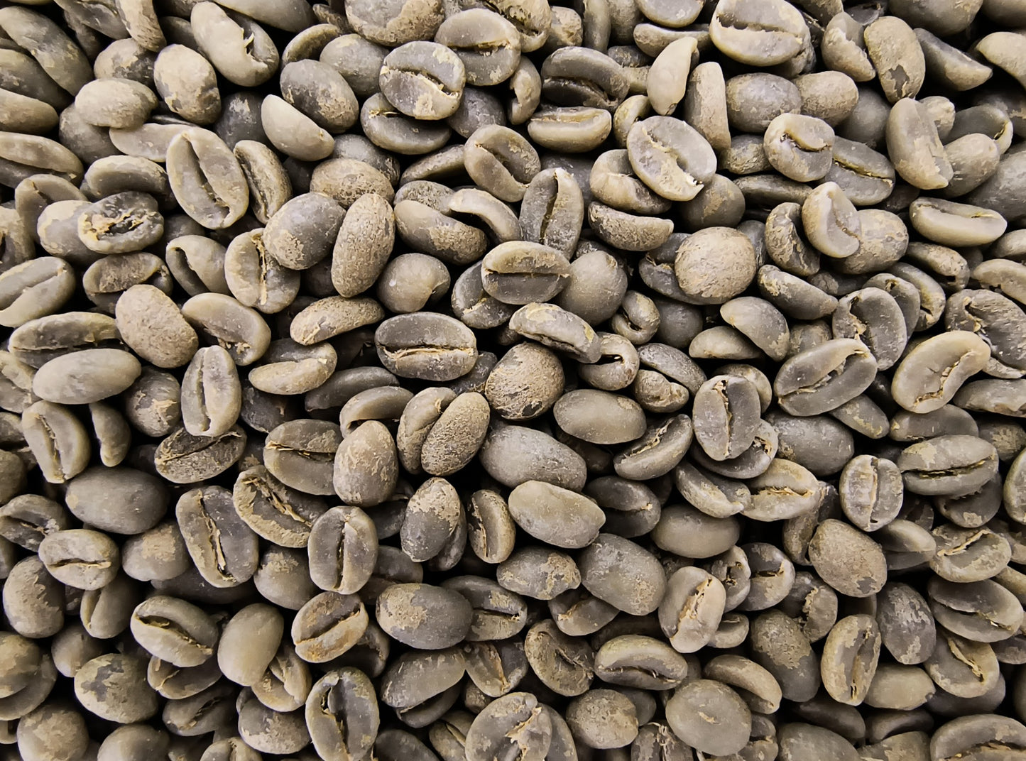 Nicaragua La Bastilla Estate, Jinotega (Green Bean)