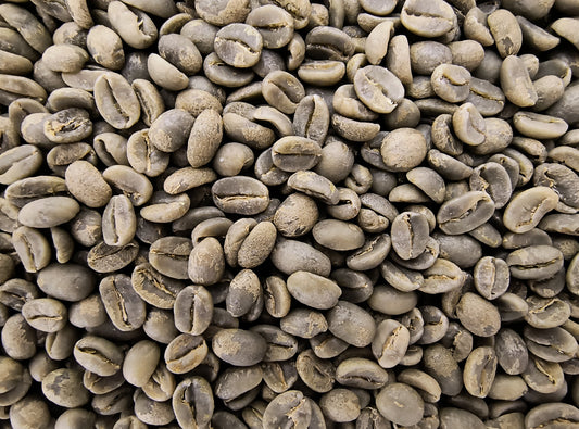 Nicaragua La Bastilla Estate, Jinotega (Green Bean)