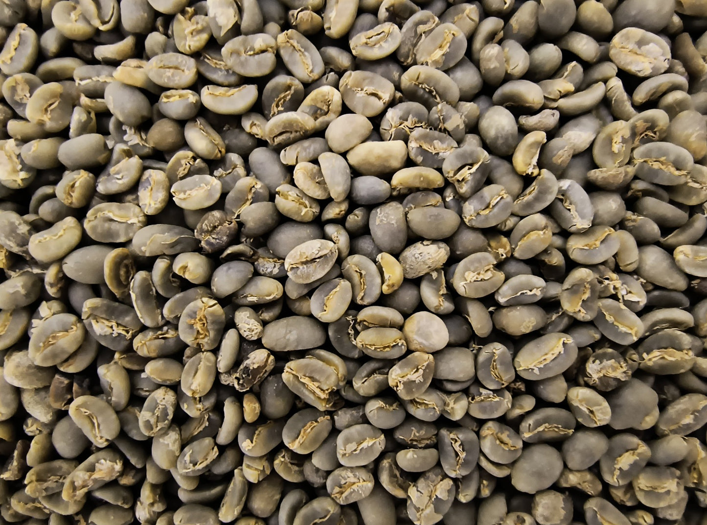 Indonesia Sumatra Mandheling Organic (Green Bean)