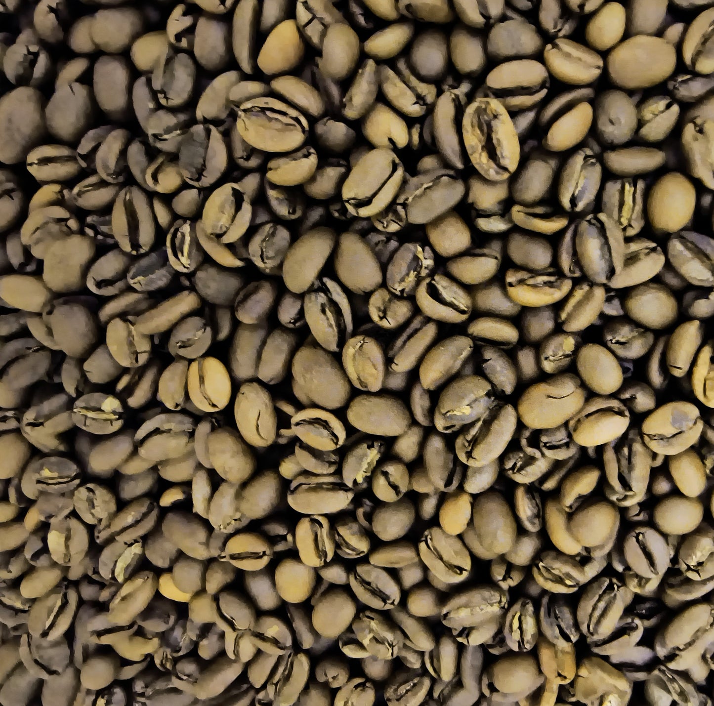 Fredericksburg Coffee Co Dark Roasted Sumatra Koperai Gayo Organic Beans