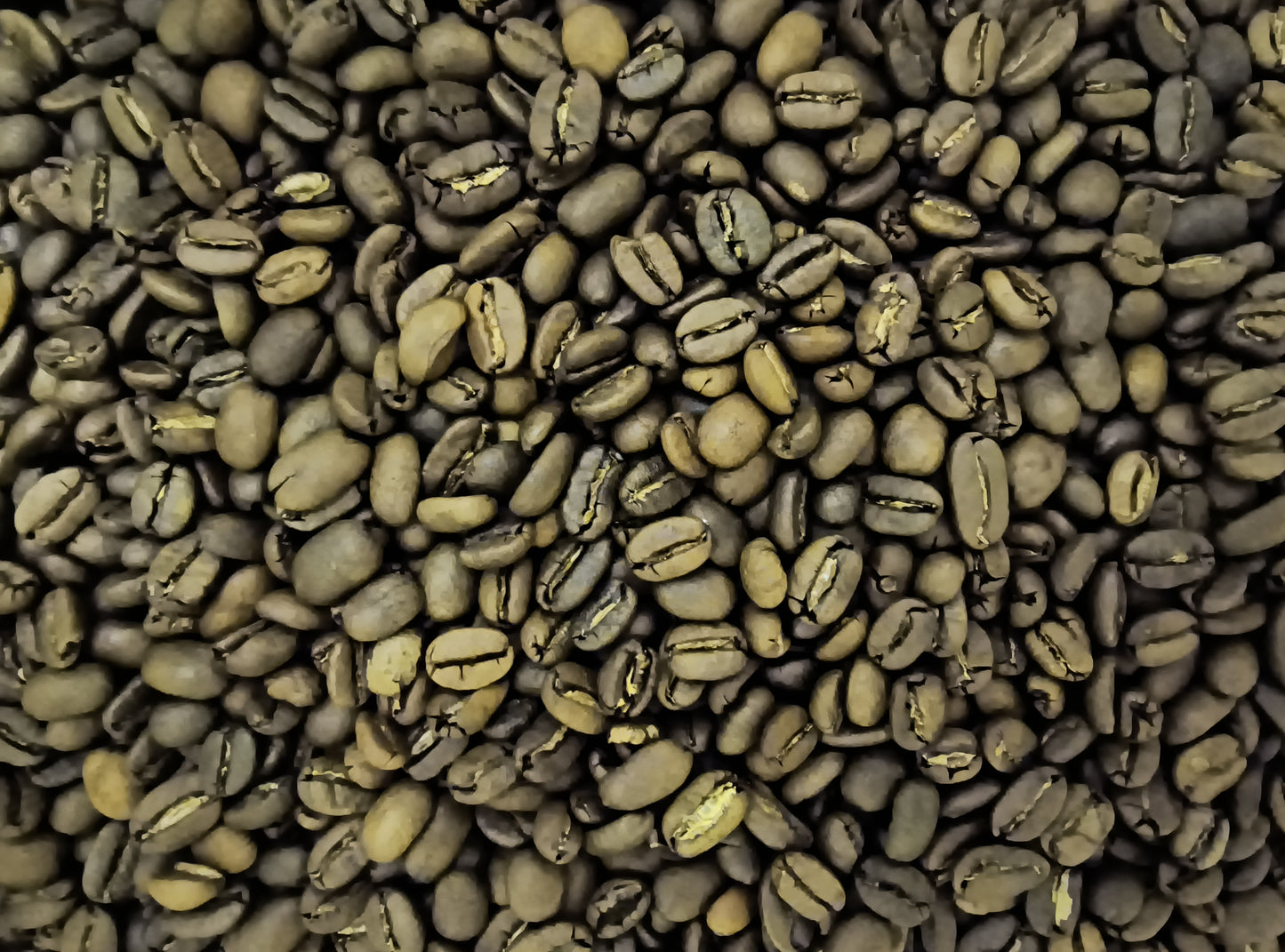 Fredericksburg Coffee Co Light Roasted Ethiopian Sidama Beans