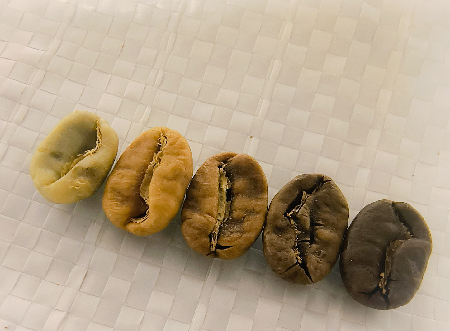 All the levels of roasted coffee beans from green to fully roasted.