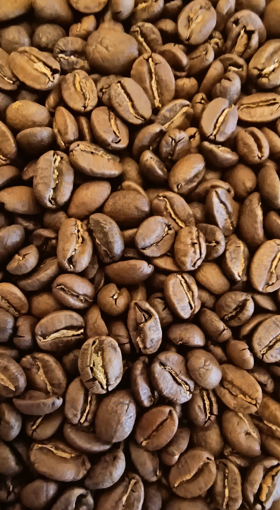 Columbia Huila Pitalito El Tiple Excelso (Medium Roast)