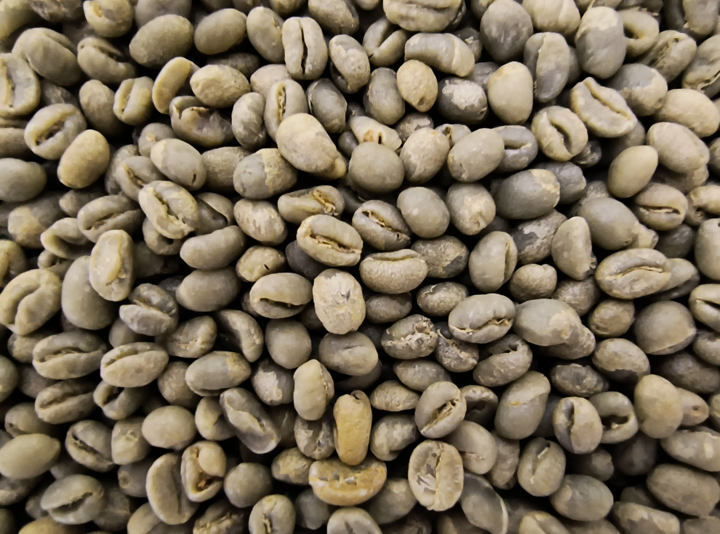 Tanzania Songwe Hezya Peaberry (Green Bean)