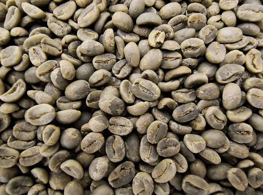 Honduras Organic Reserva Pacavita SHG EP (Green Bean)