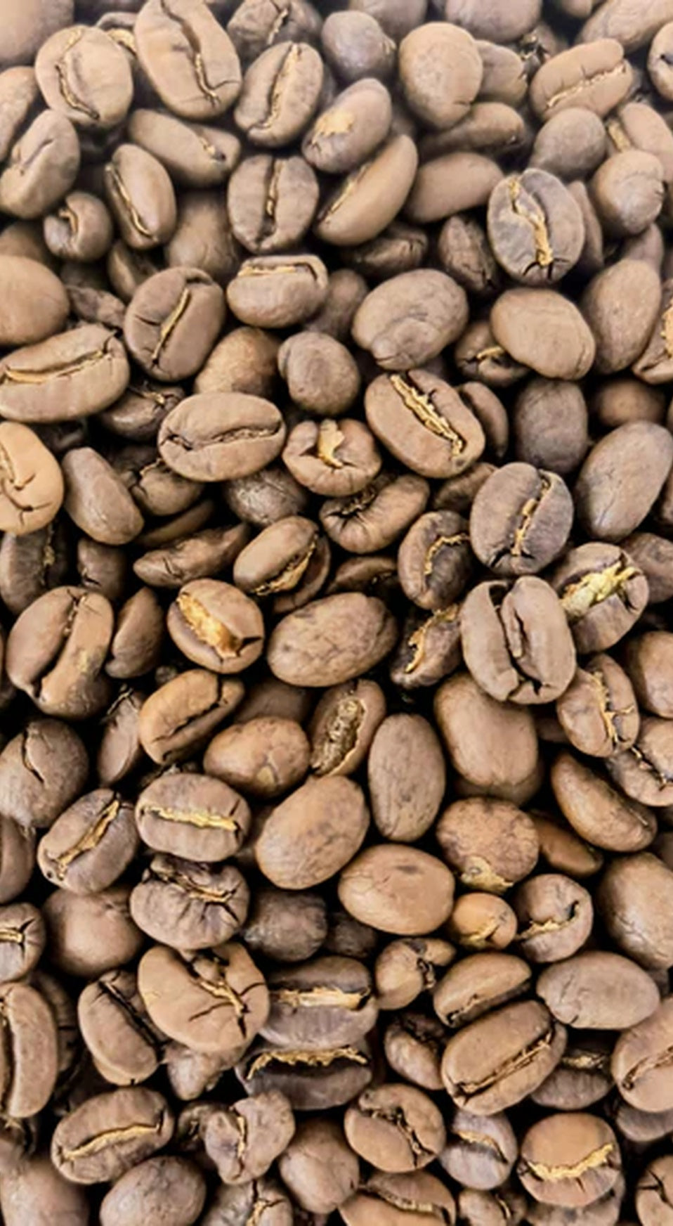 Pacavita Honduras- Washed Organic Beans (Light/Medium Roast)