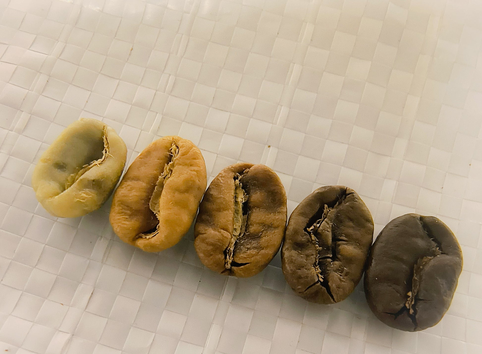 All the levels of roasted coffee beans from green to fully roasted. 
