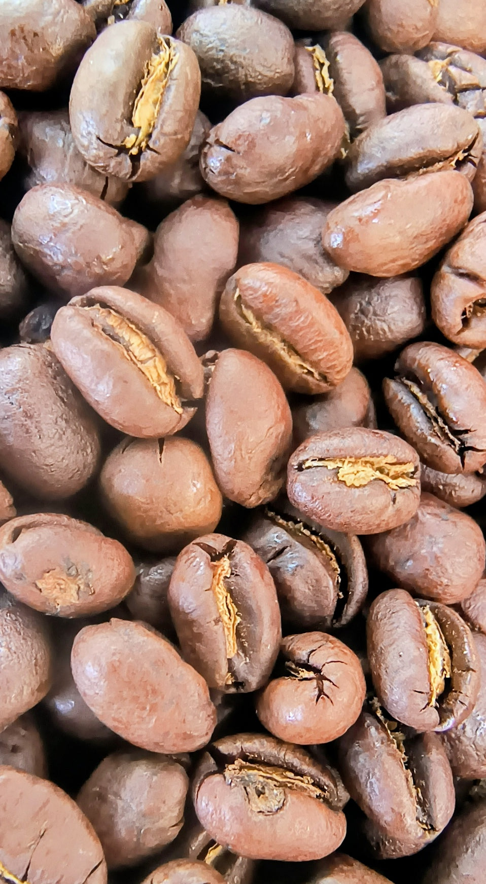 Tanzania Peaberry Plus Washed (Medium/Dark Roast)
